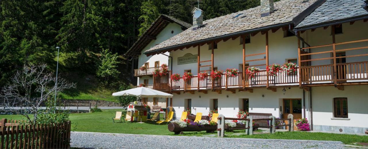 Dresalwoald Bed & Breakfast Gressoney-Saint-Jean Dış mekan fotoğraf